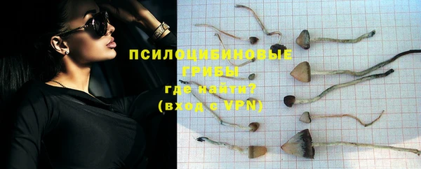 мяу мяу мука Корсаков