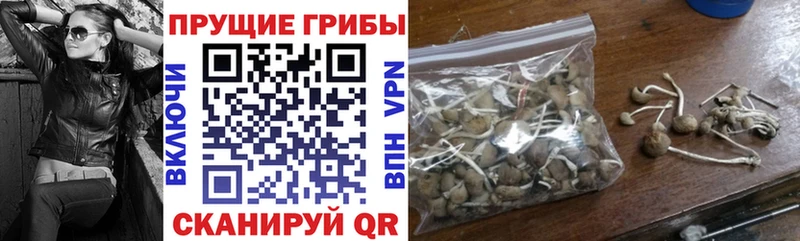 Галлюциногенные грибы мухоморы  Купить  Макушино 